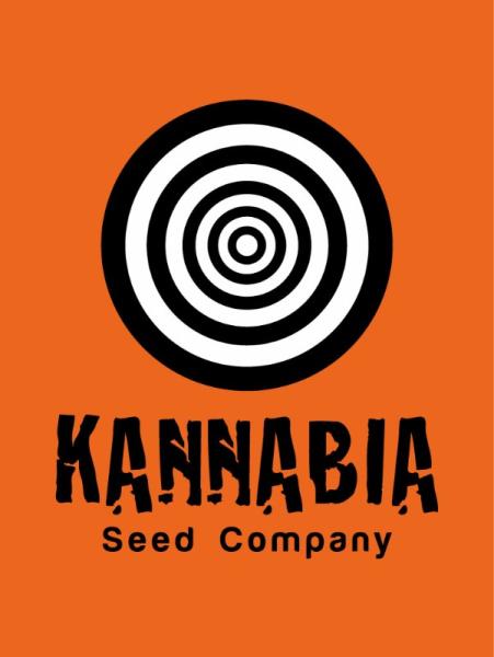 Samen 3+1 Lemon Haze Automatik Kannabia
